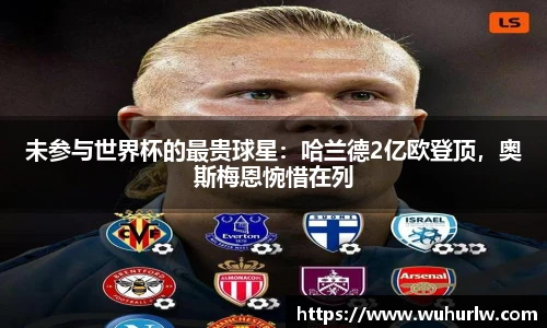 未参与世界杯的最贵球星：哈兰德2亿欧登顶，奥斯梅恩惋惜在列